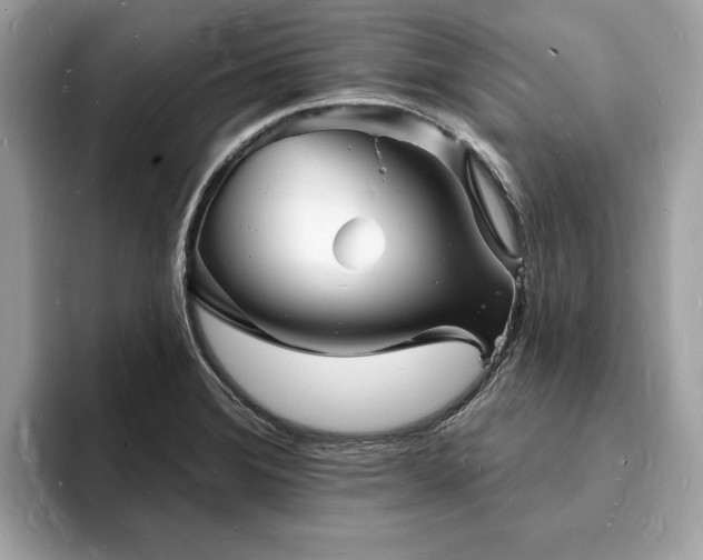 X0000093721372200710161051