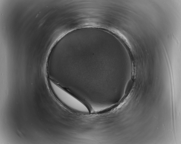 X0000093721373200710161051