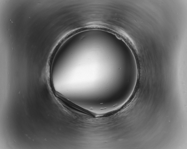 X0000093721376200710161051