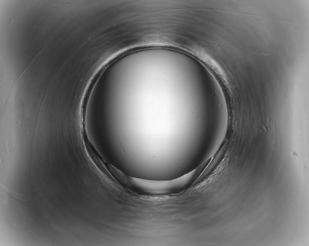 X0000093721380200710161050