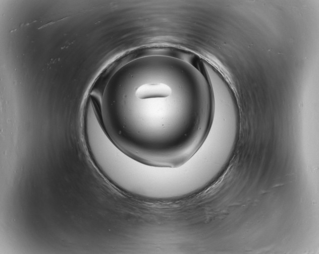 X0000093721384200710161050