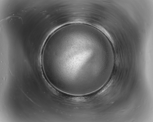X0000093721388200710161050