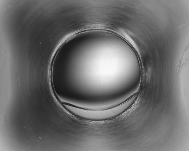 X0000093721389200710161050