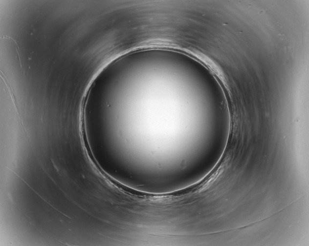 X0000093721390200710161050