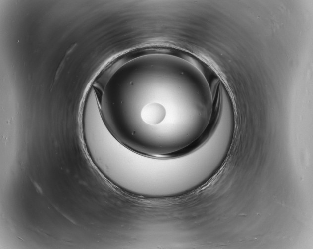 X0000093721392200710161050
