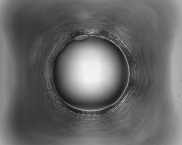 X0000093721393200710161050
