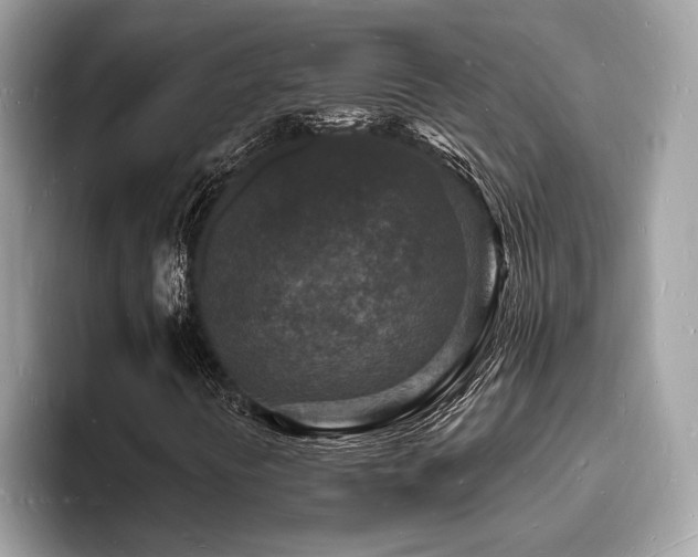 X0000093721394200710161050