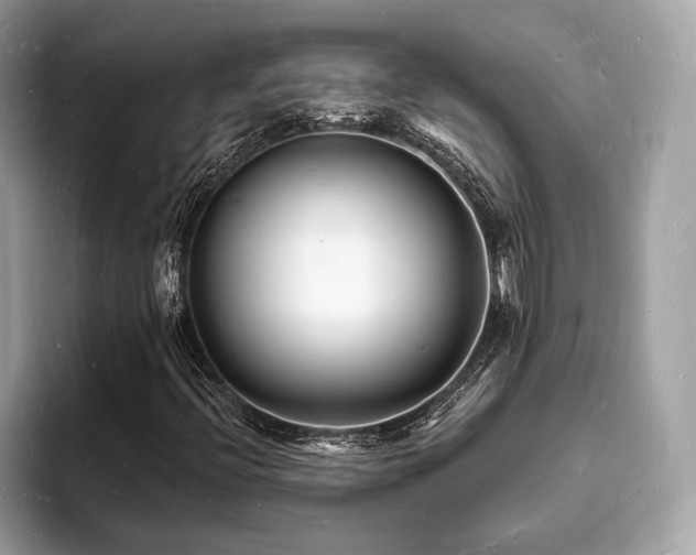 X0000093721396200710161050