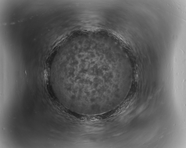 X0000093721397200710161050