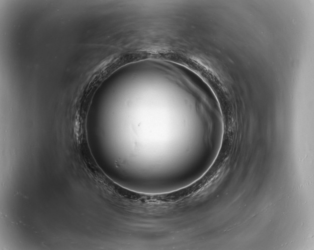 X0000093721398200710161050