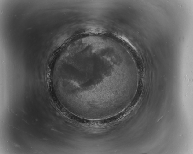 X0000093721399200710161050