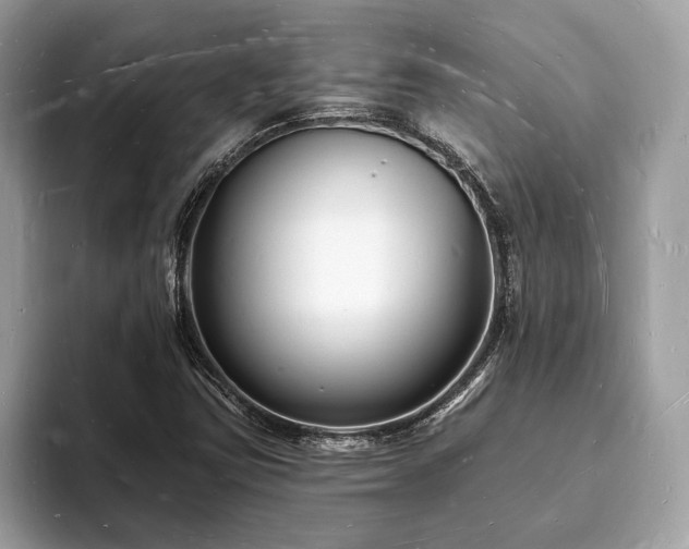 X0000093721403200710161050