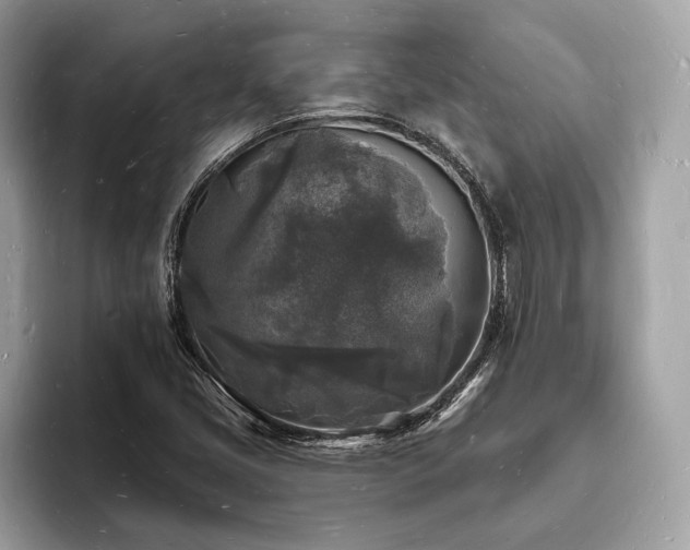 X0000093721405200710161050