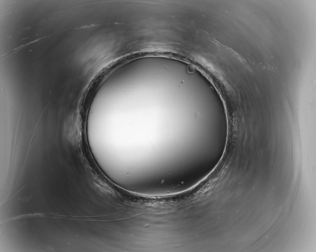 X0000093721408200710161050