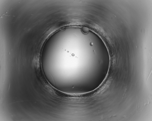 X0000093721409200710161050