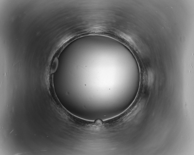 X0000093721410200710161050