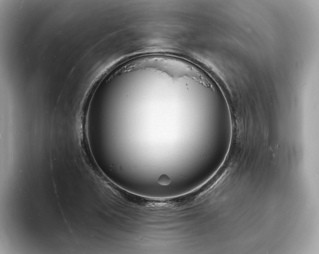 X0000093721415200710161050