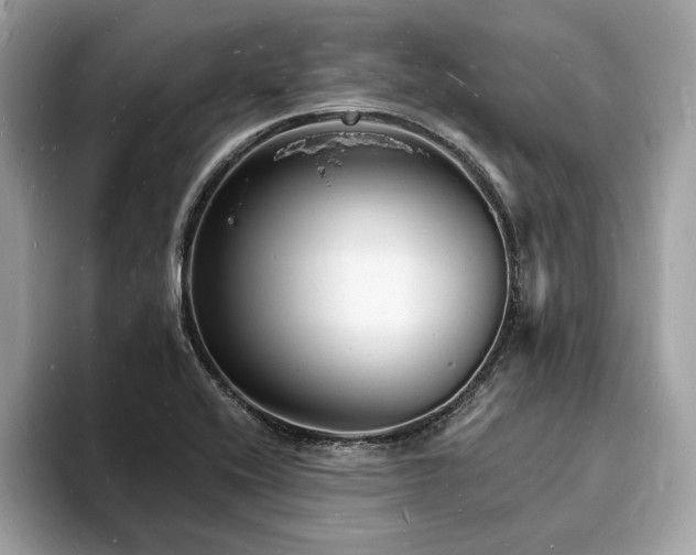 X0000093721416200710161050