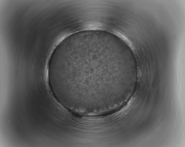 X0000093721419200710161050