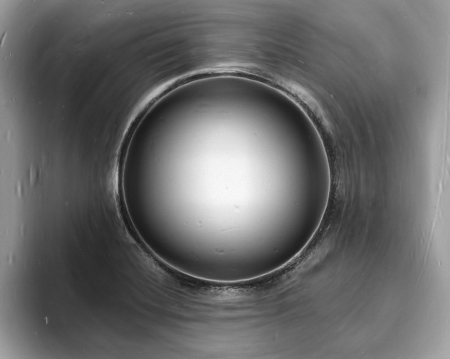 X0000093721420200710161050