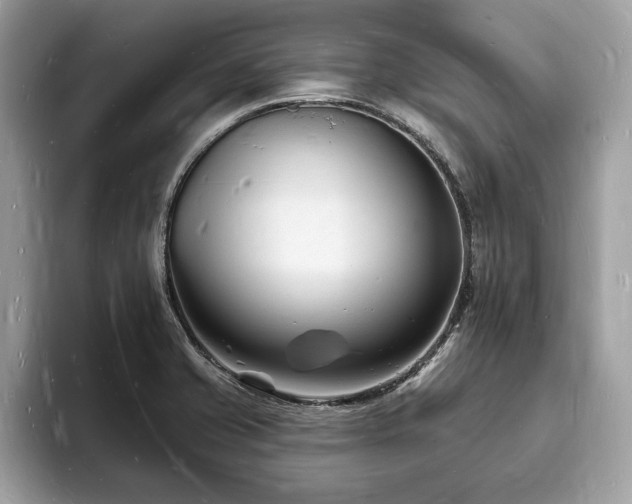 X0000093721421200710161050