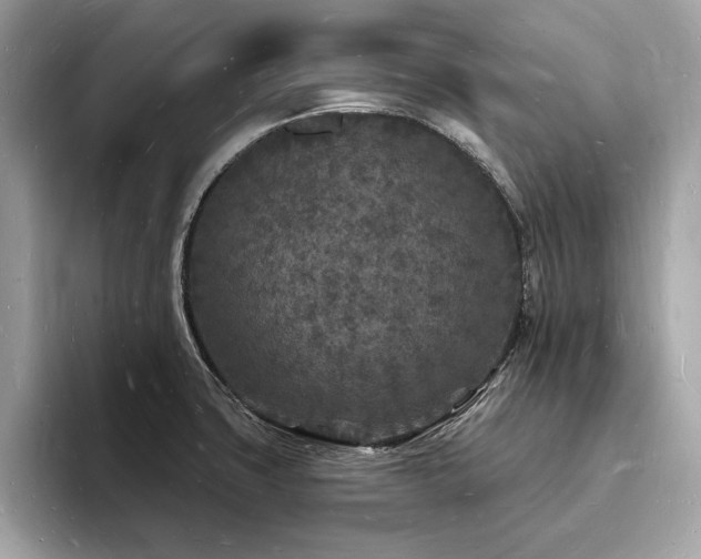 X0000093721427200710161050