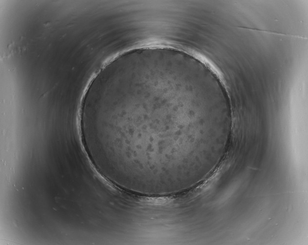 X0000093721429200710161050