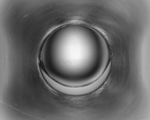 X0000093721430200710161050