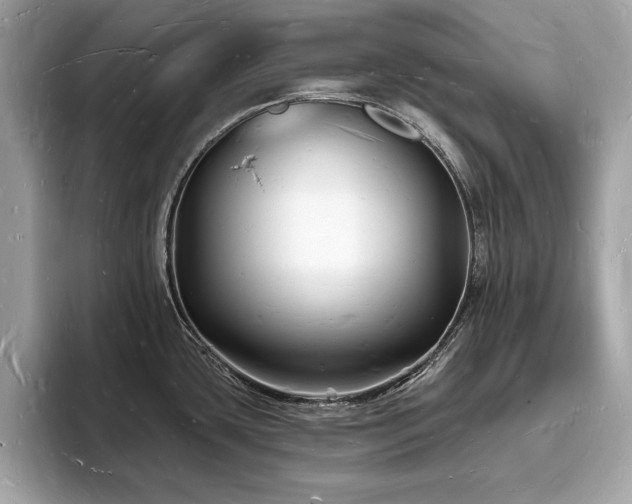 X0000093721435200710161050
