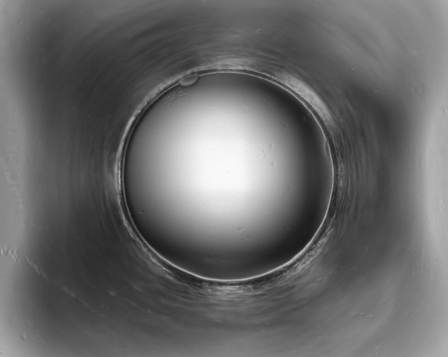 X0000093721436200710161050