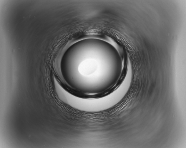 X0000093721441200710161050