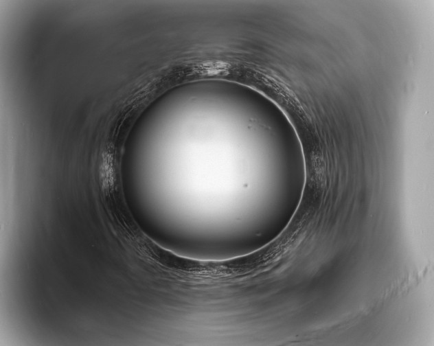 X0000093721442200710161050