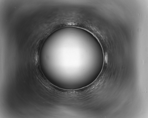 X0000093721444200710161050