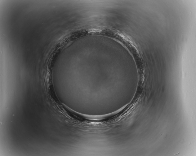 X0000093721445200710161050