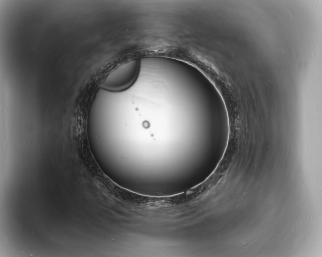 X0000093721447200710161050