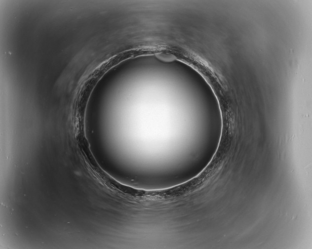 X0000093721448200710161049