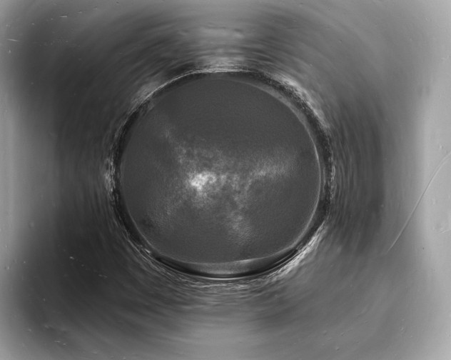X0000093721449200710161049