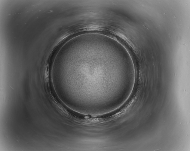 X0000093721450200710161049
