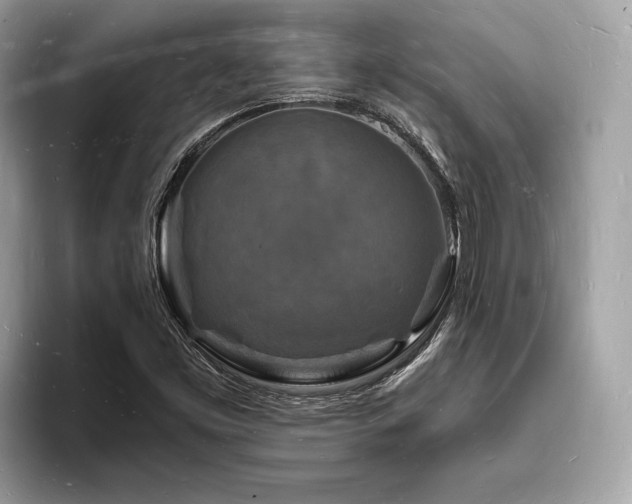 X0000093721453200710161049