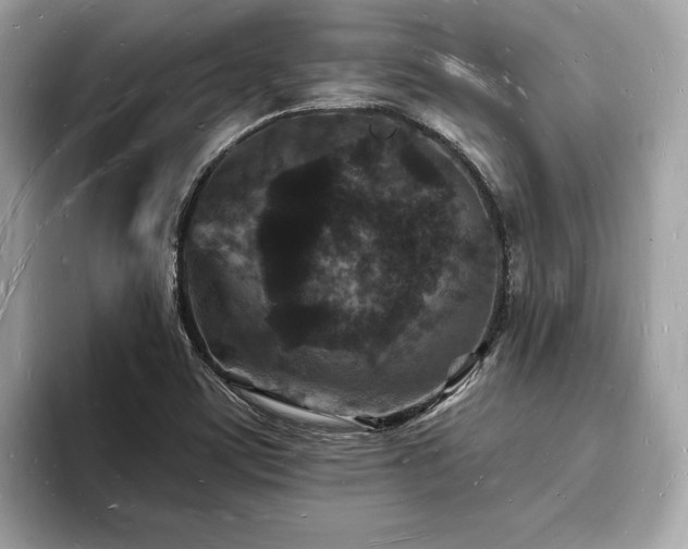 X0000093721459200710161049
