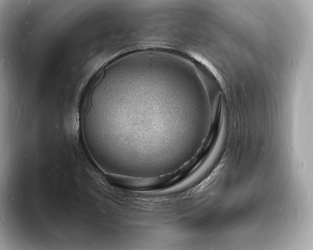 X0000093721461200710161049