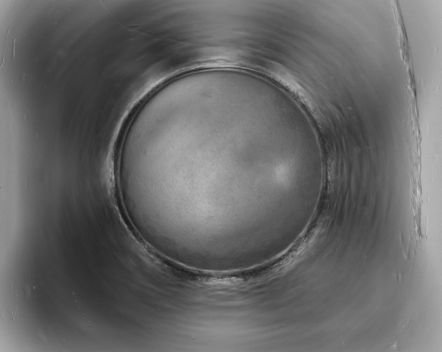X0000093721466200710161049