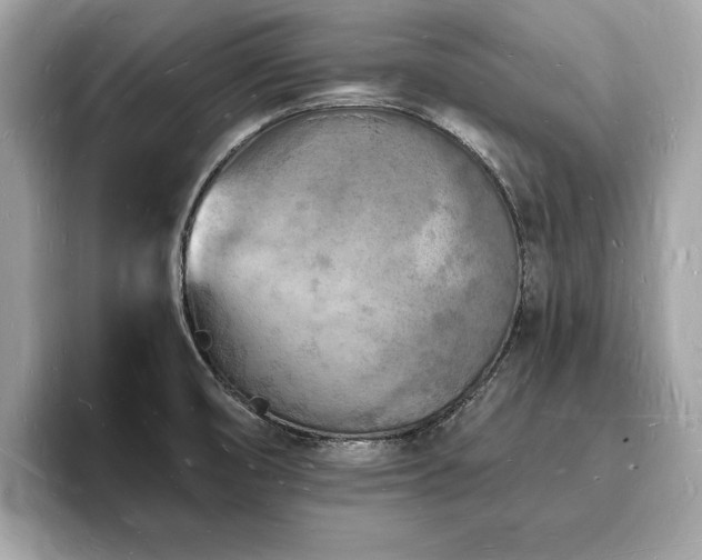 X0000093721474200710161049