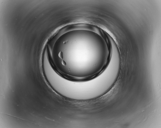 X0000093721477200710161049