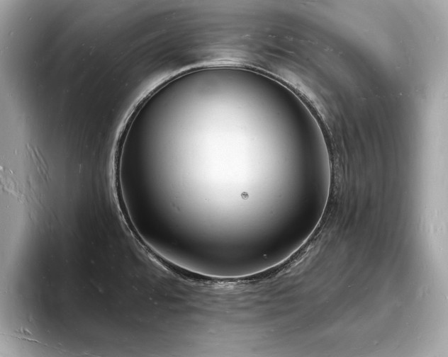 X0000093721480200710161049