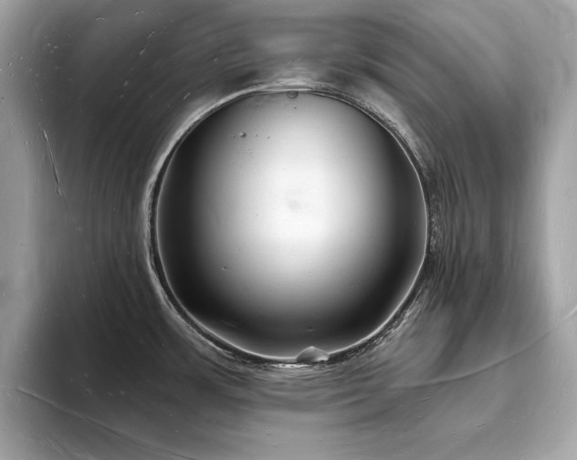 X0000093721483200710161049