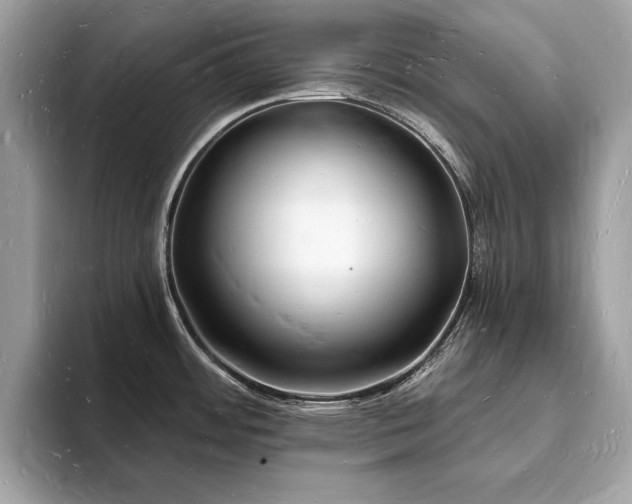 X0000093721484200710161049