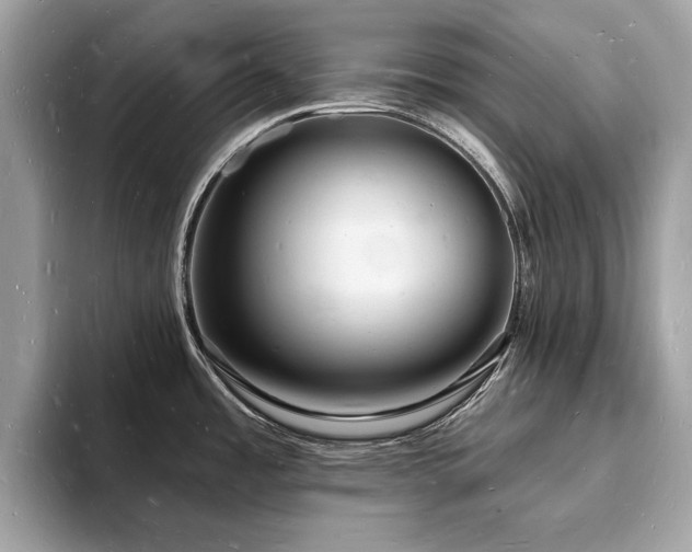 X0000093721485200710161049