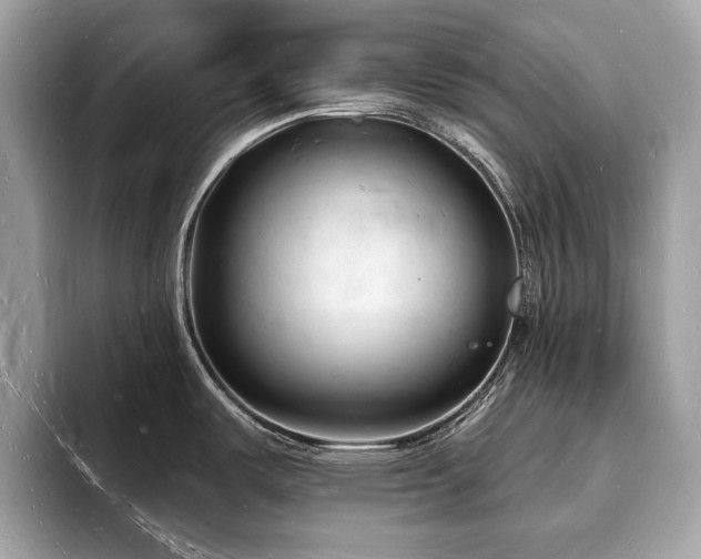 X0000093721487200710161049