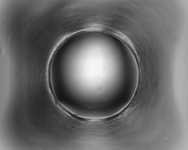 X0000093721488200710161049
